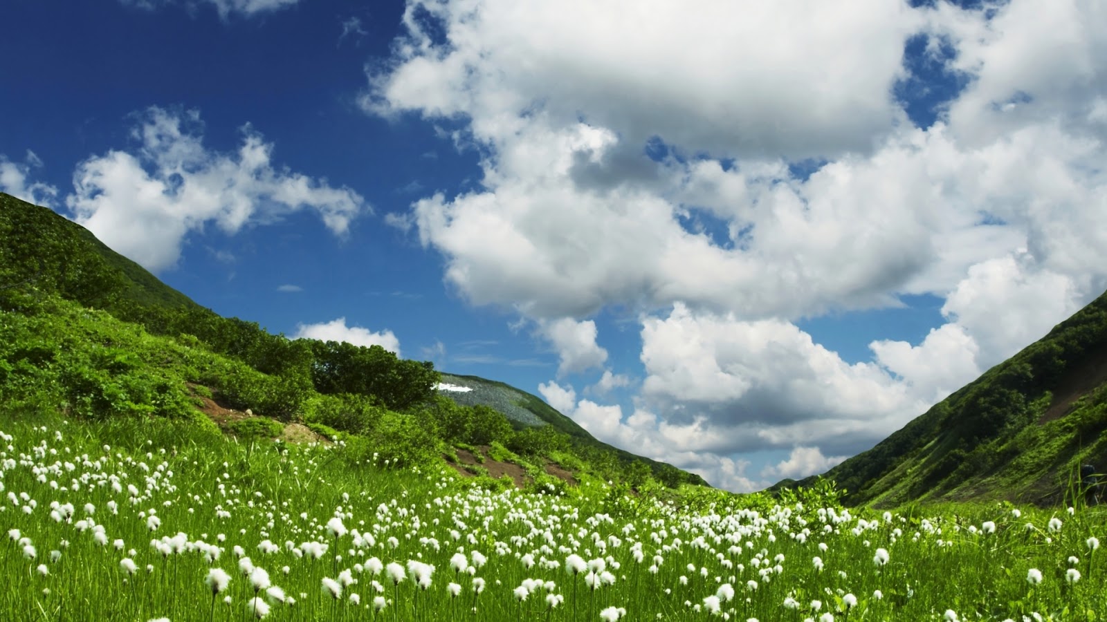 Nature HD | HD Wallpapers (High Definition) | Free Background